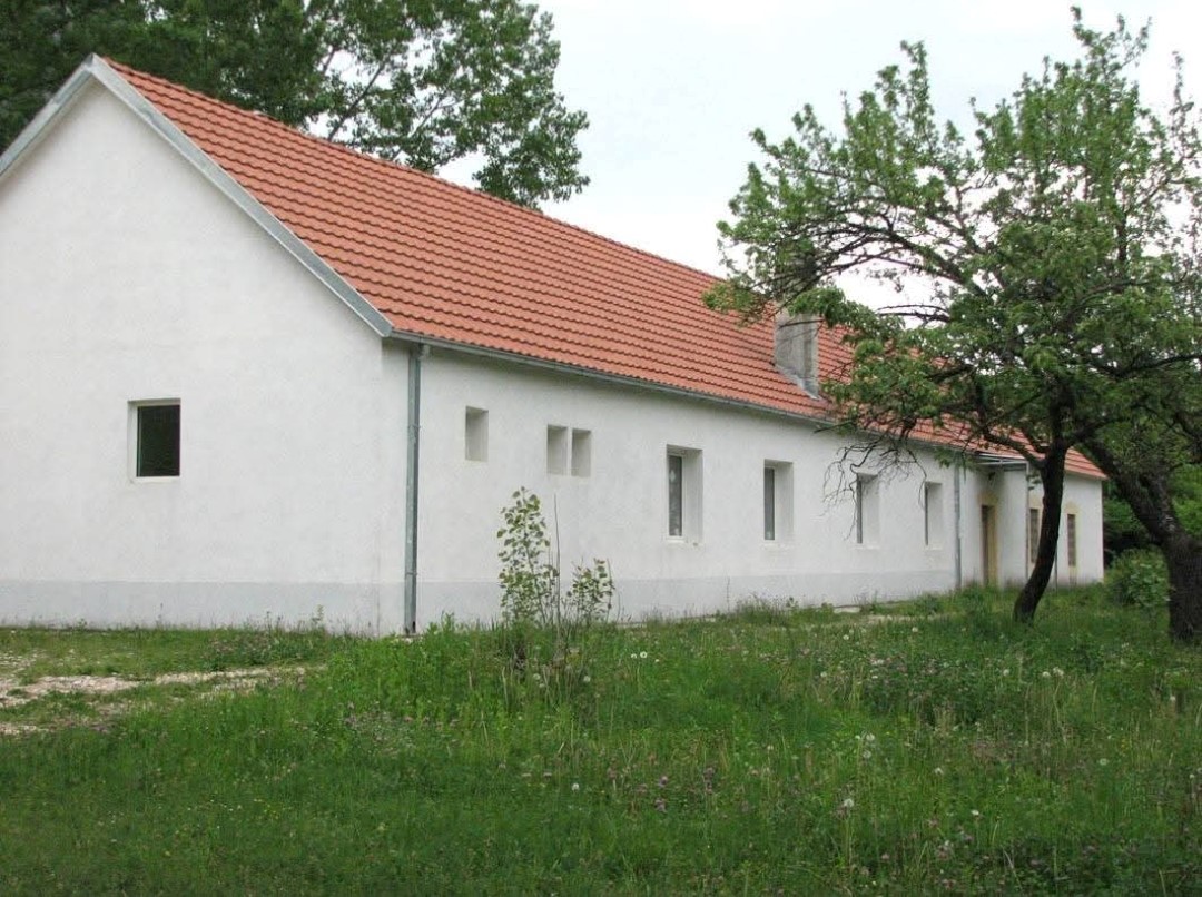 Blog Image